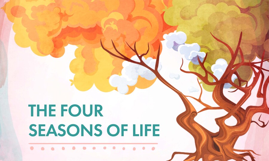 Vier Jahreszeiten Des Lebens