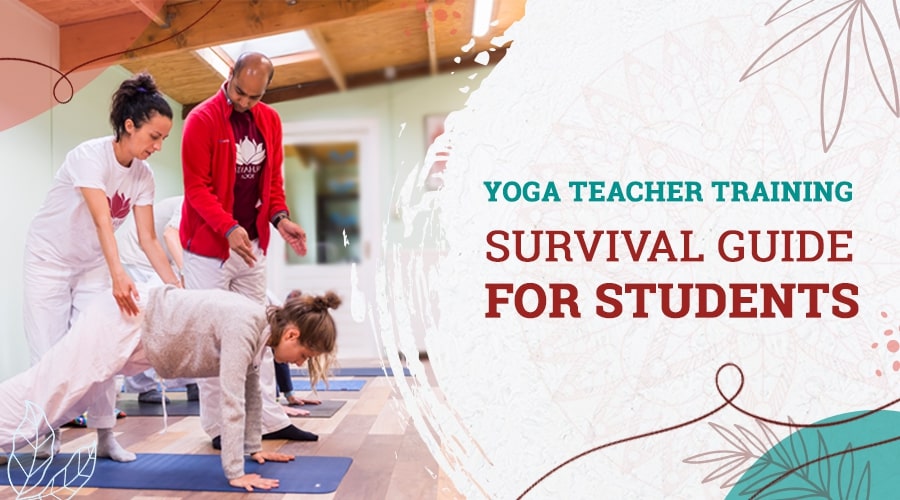 Yogalehrer-Ausbildung - Überlebenshilfe für Studenten
